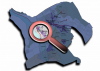 Térkép